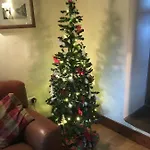 The *